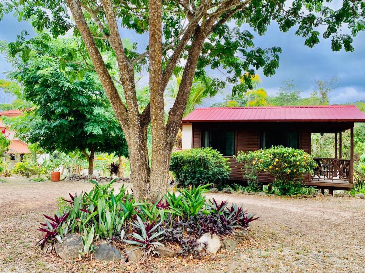 Hotel Sattva Land Belmopan Exteriér fotografie