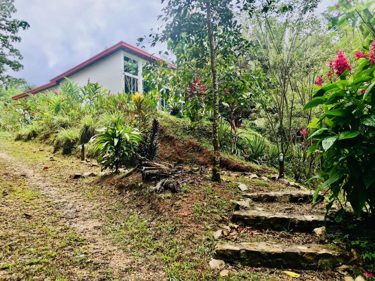 Hotel Sattva Land Belmopan Exteriér fotografie